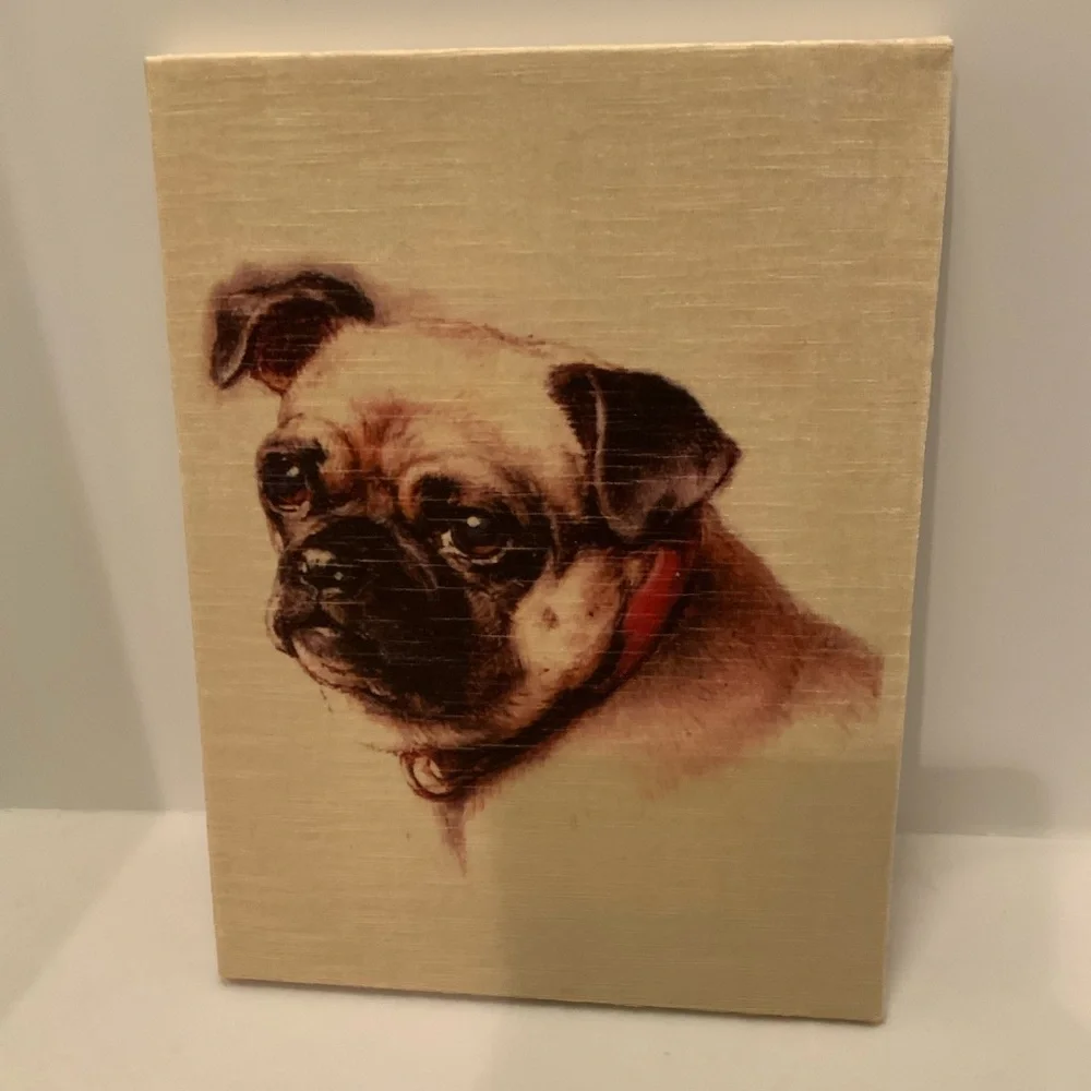 Sweet Pug - Picture 3 of 13